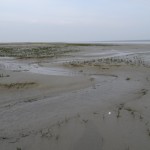 DSC00131