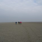 DSC00185
