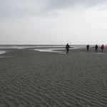 DSC00196