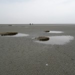 DSC00227