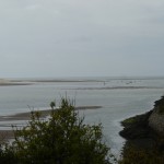 P1040502