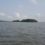 20160331_081920