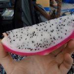 IMG_20160402_113804